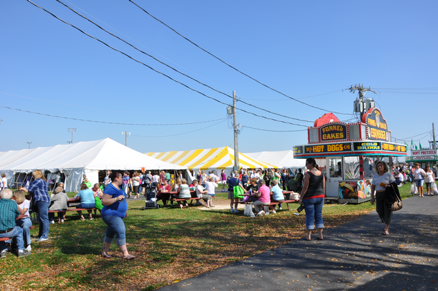 Fall Diddley at BCF